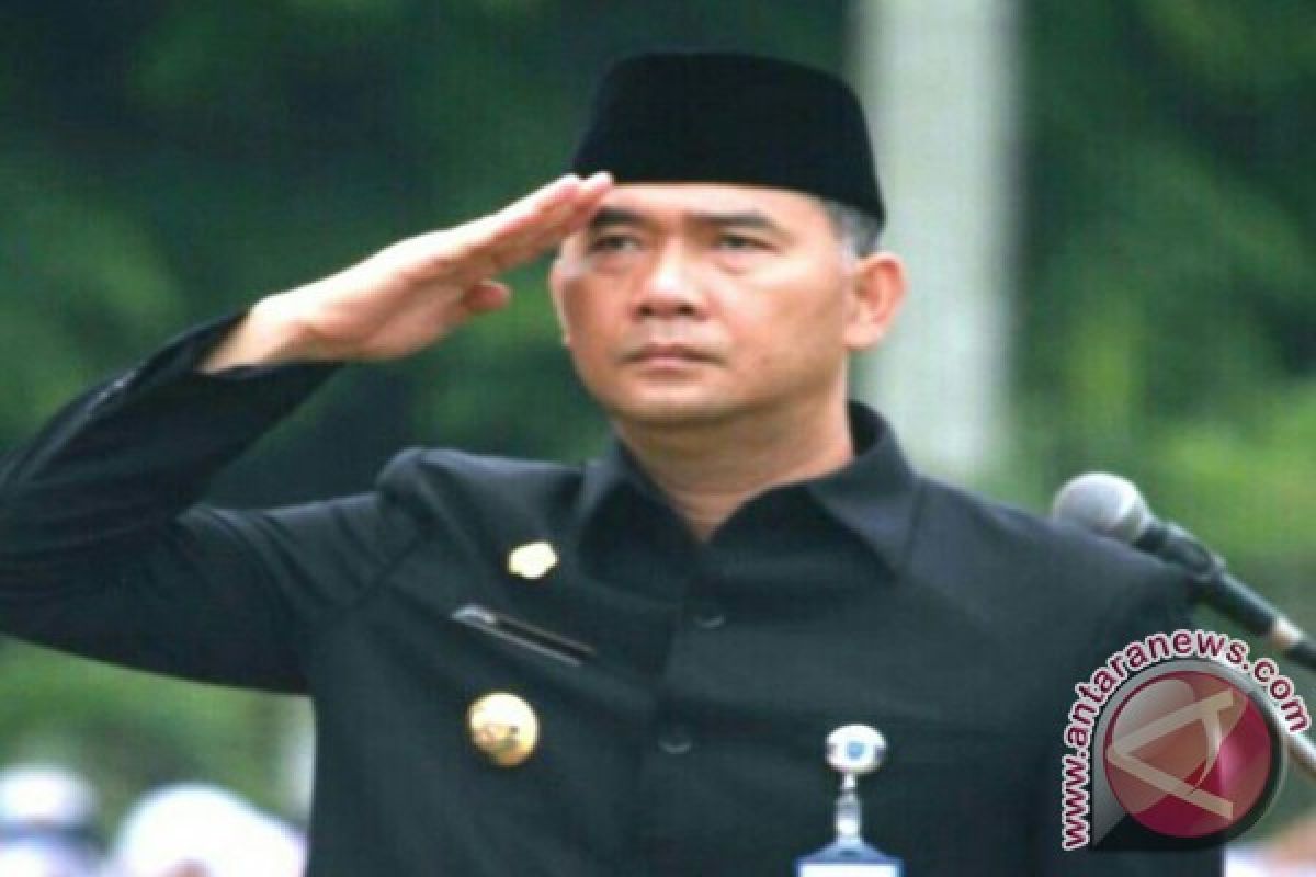 Walikota Jambi: 