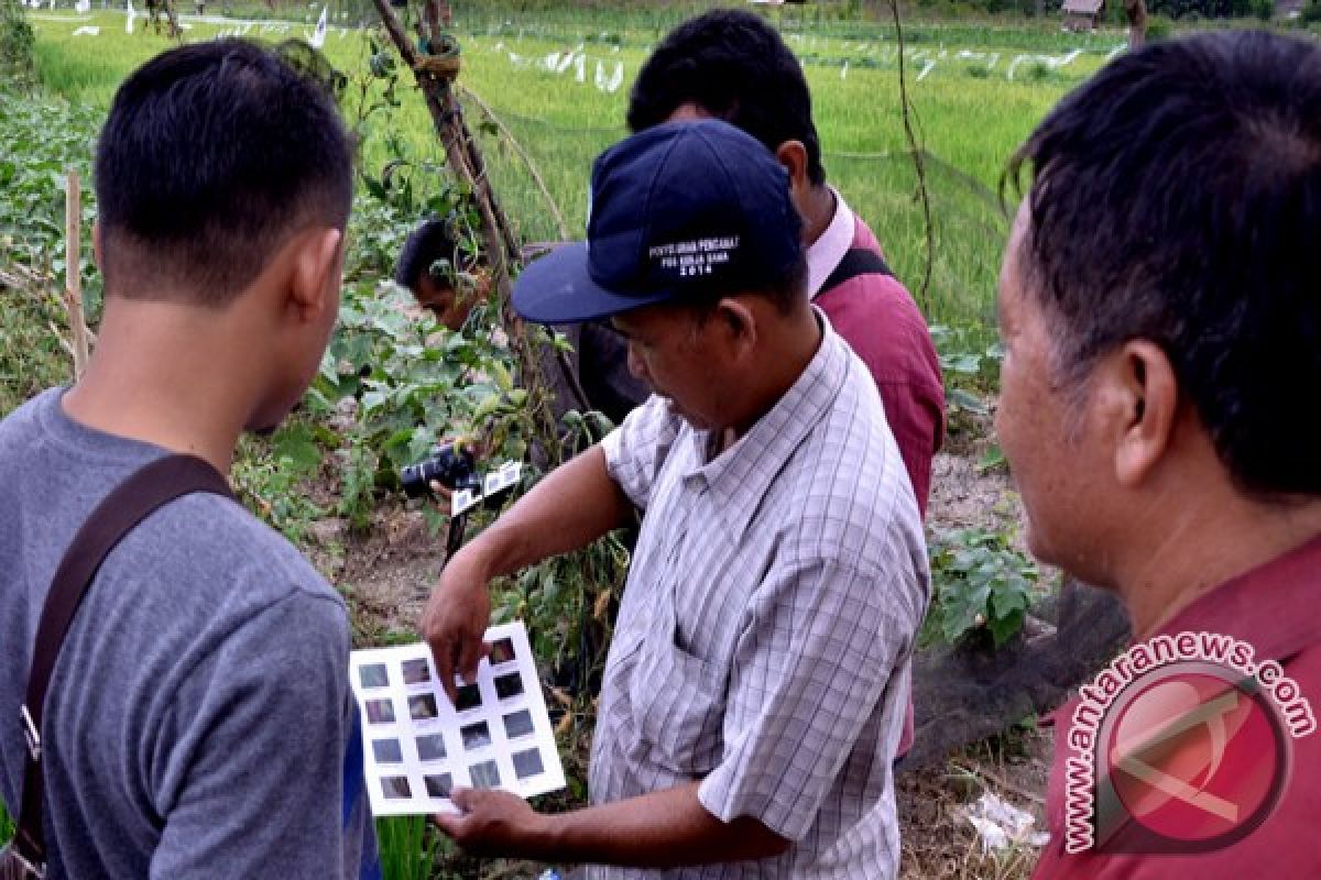 Petani Batanghari siap gunakan pestisida organik