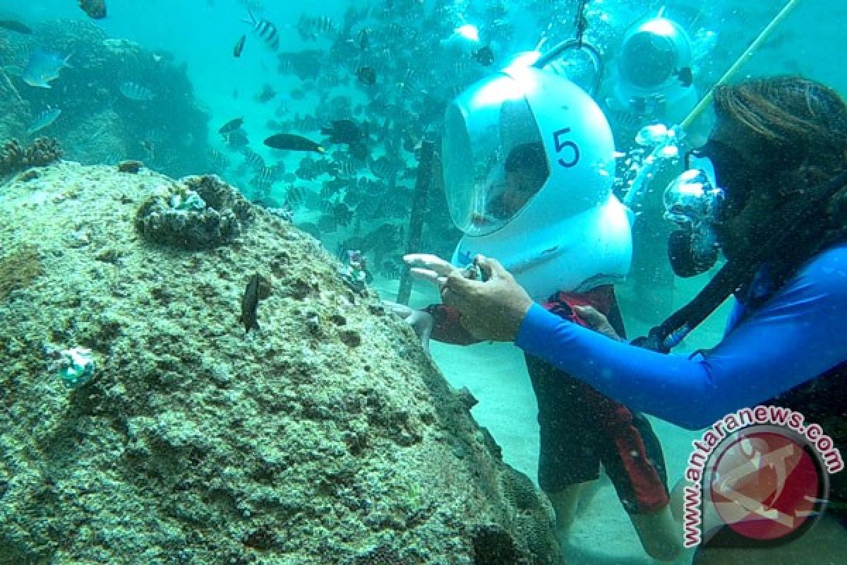 Thousands corals re-planted in Gili Nanggu