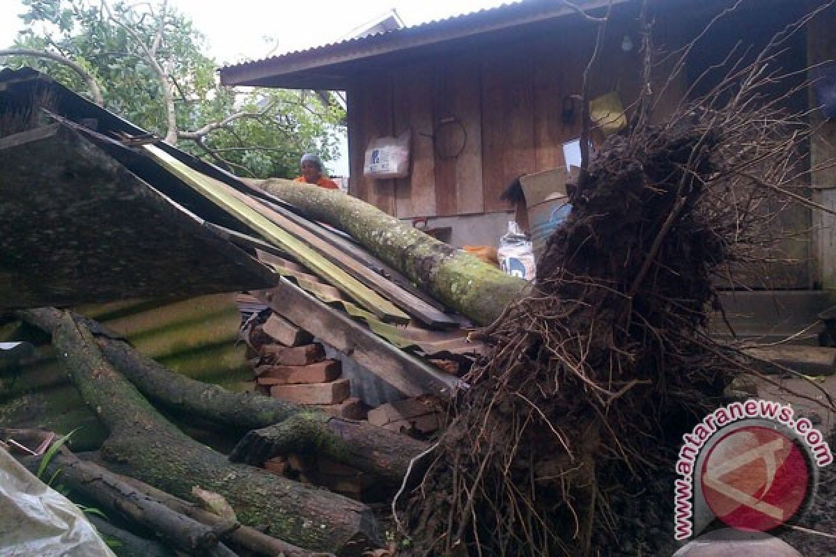 Angin kencang di Mukomuko, delapan rumah warga rusak