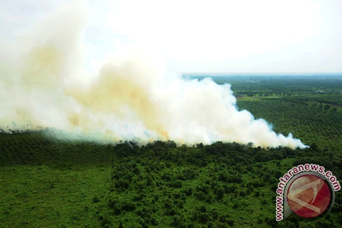 TNI dan polisi kesulitan padamkan kebakaran lahan gambut