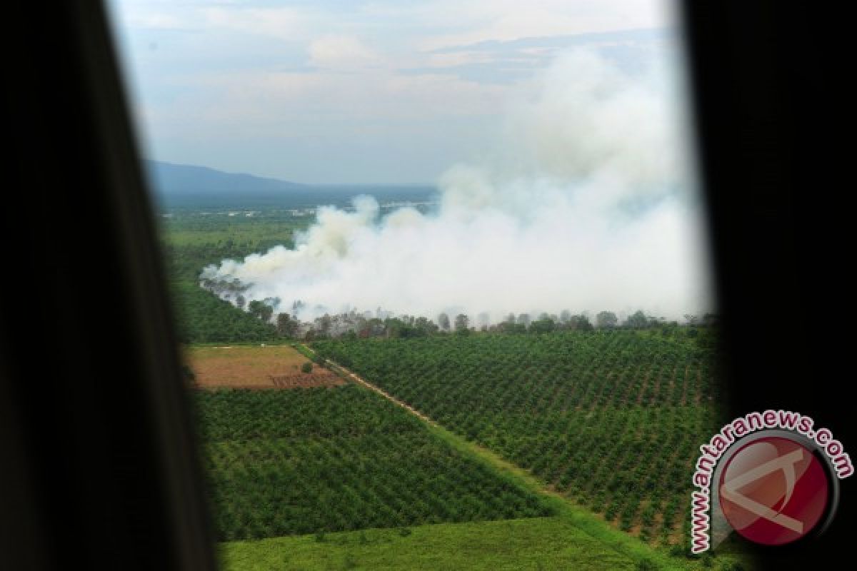 Pemprov Kalbar imbau masyarakat tidak buka lahan dengan membakar