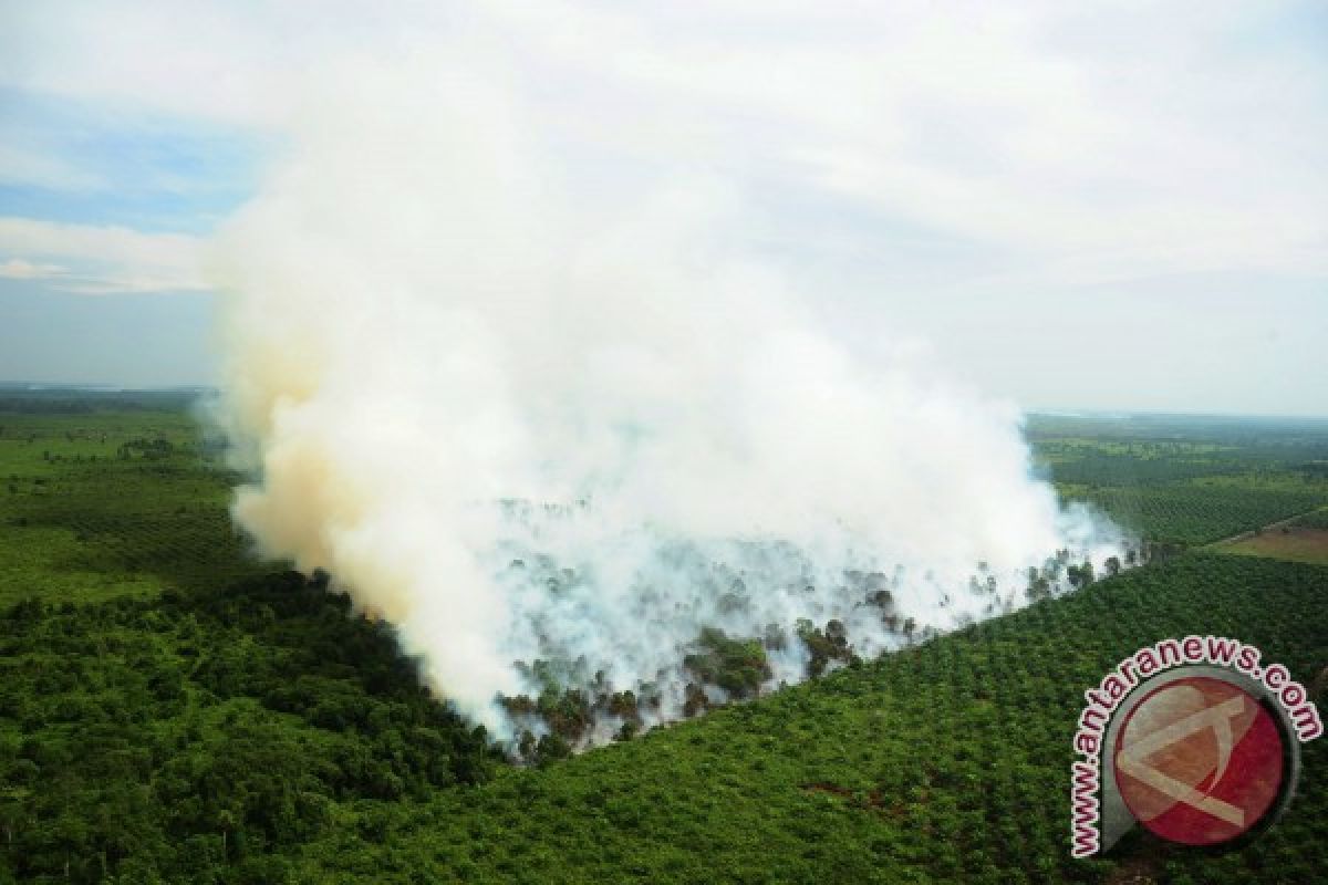 Masyarakat juga harus ikut mencegah karhutla