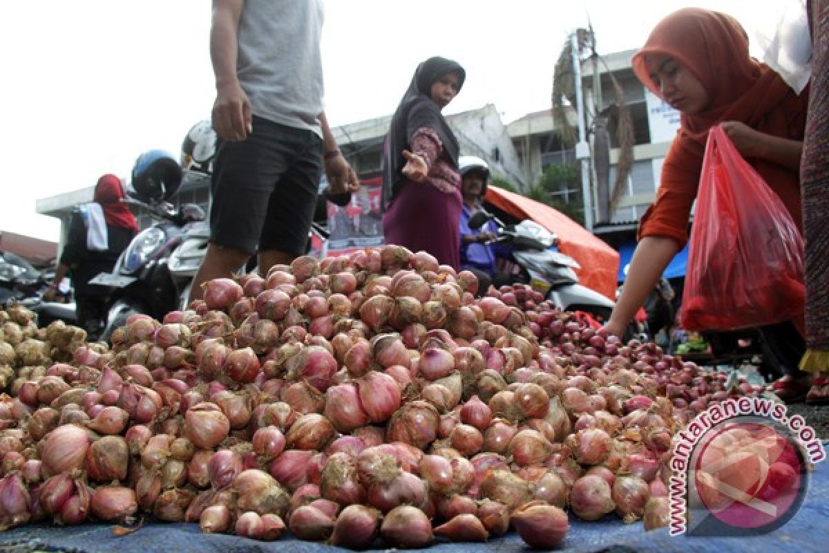 Harga bawang merah di Aceh Barat naik