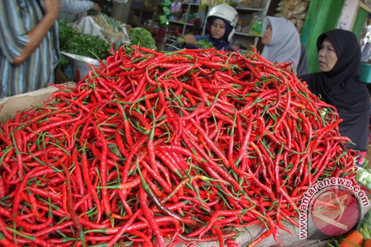 Harga cabai merah di Aceh Selatan turun