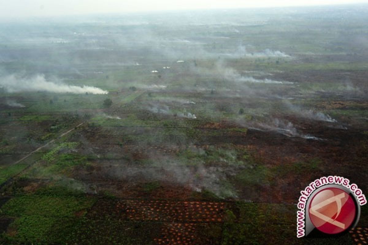 Ayah dan Anak Diamankan Karena Bakar Lahan