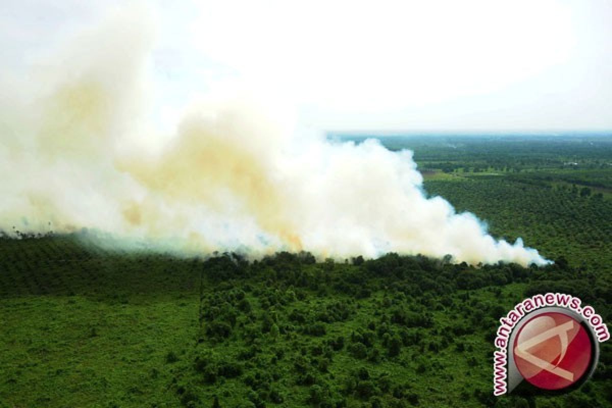 TNI dan polisi kesulitan padamkan kebakaran lahan gambut