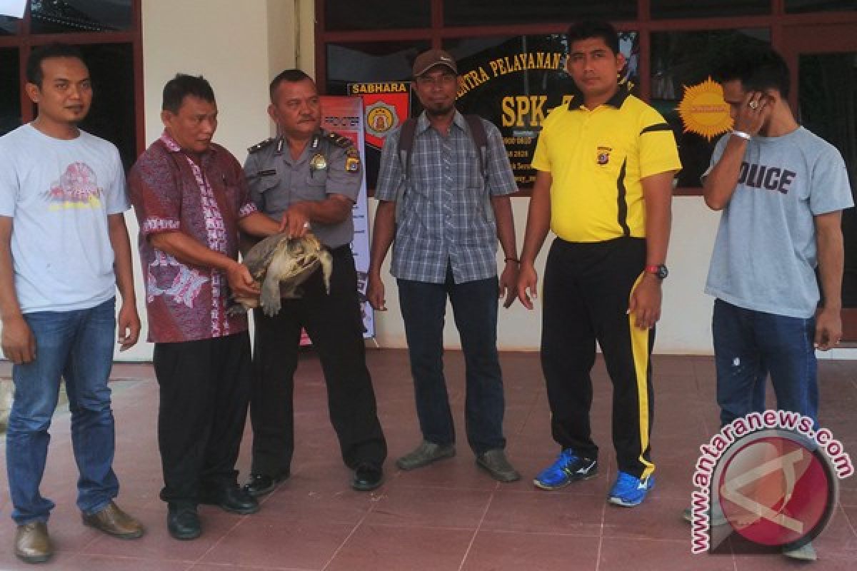 Polisi serahkan spesies satwa langka ke KSDA