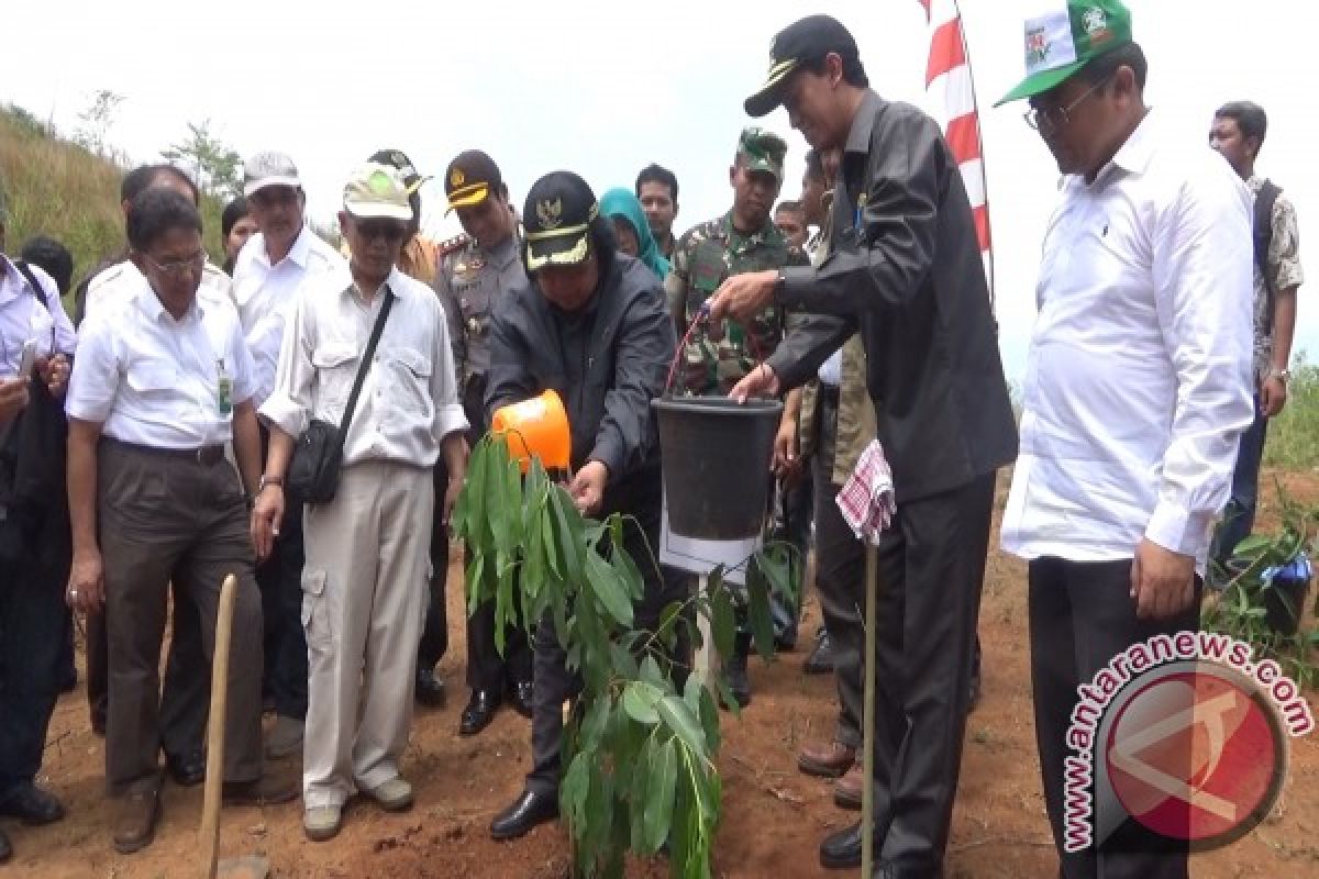 Menhut Cadangkan 12 Juta Hektare Hutan Rakyat 