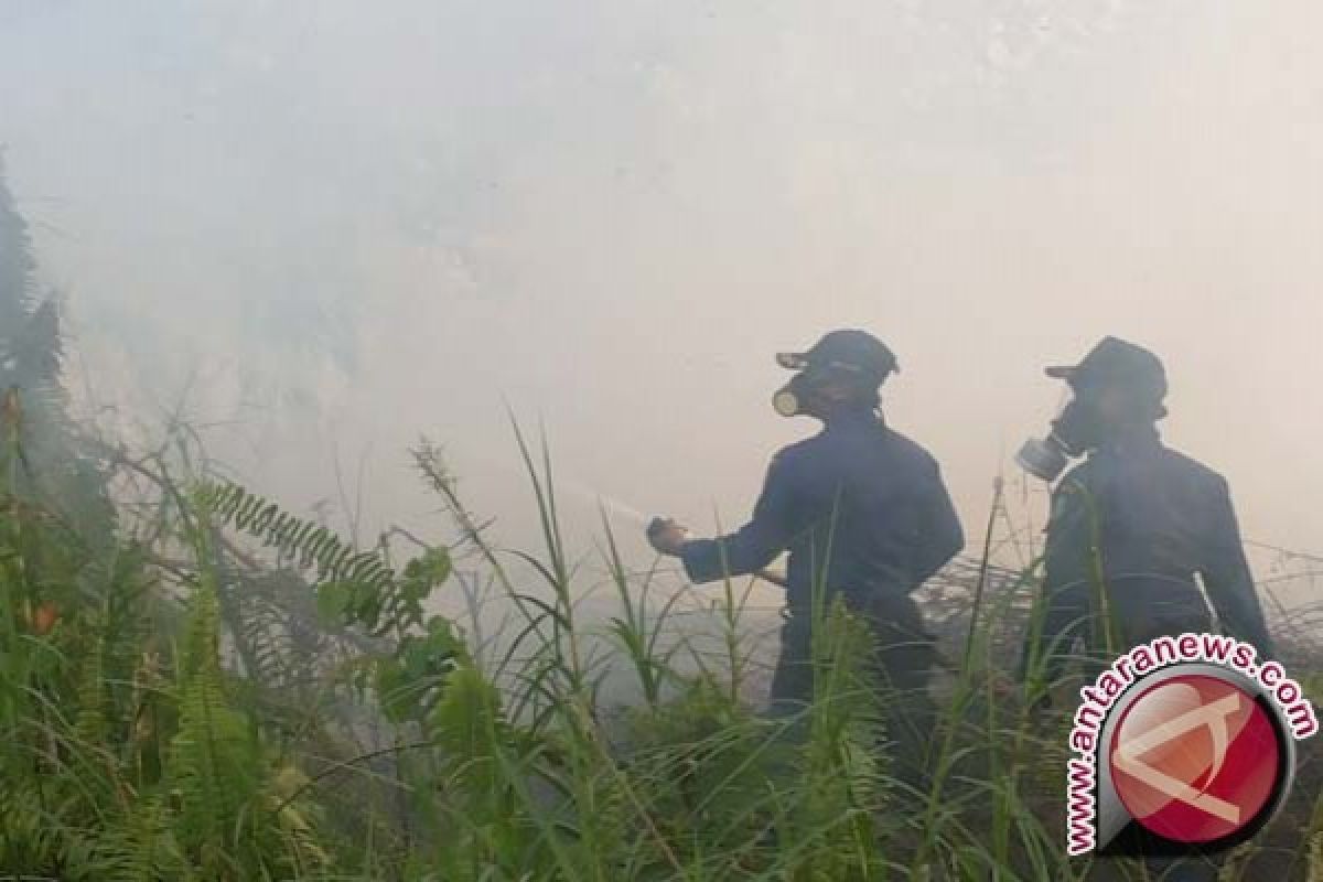 Sembilan Kecamatan Kotawaringin Timur Rawan Karhutla