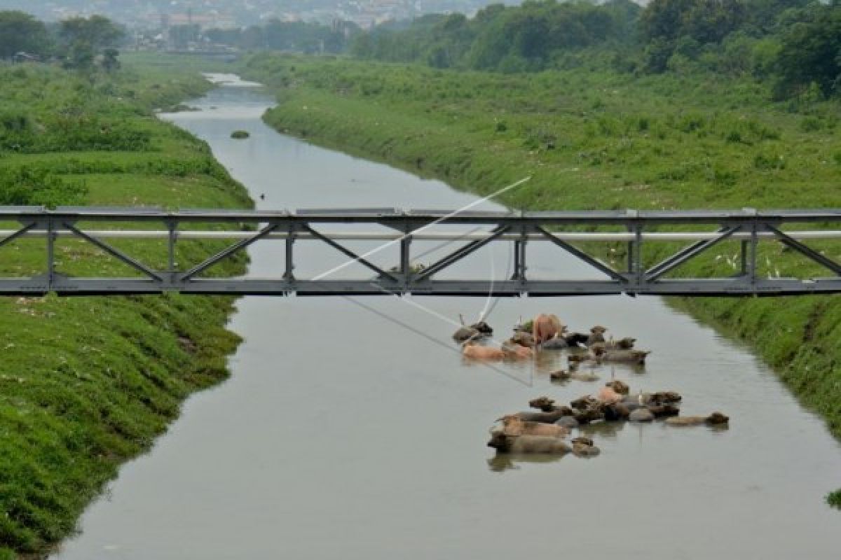 Normalisasi Banjir Kanal Timur Semarang Dimulai 2017