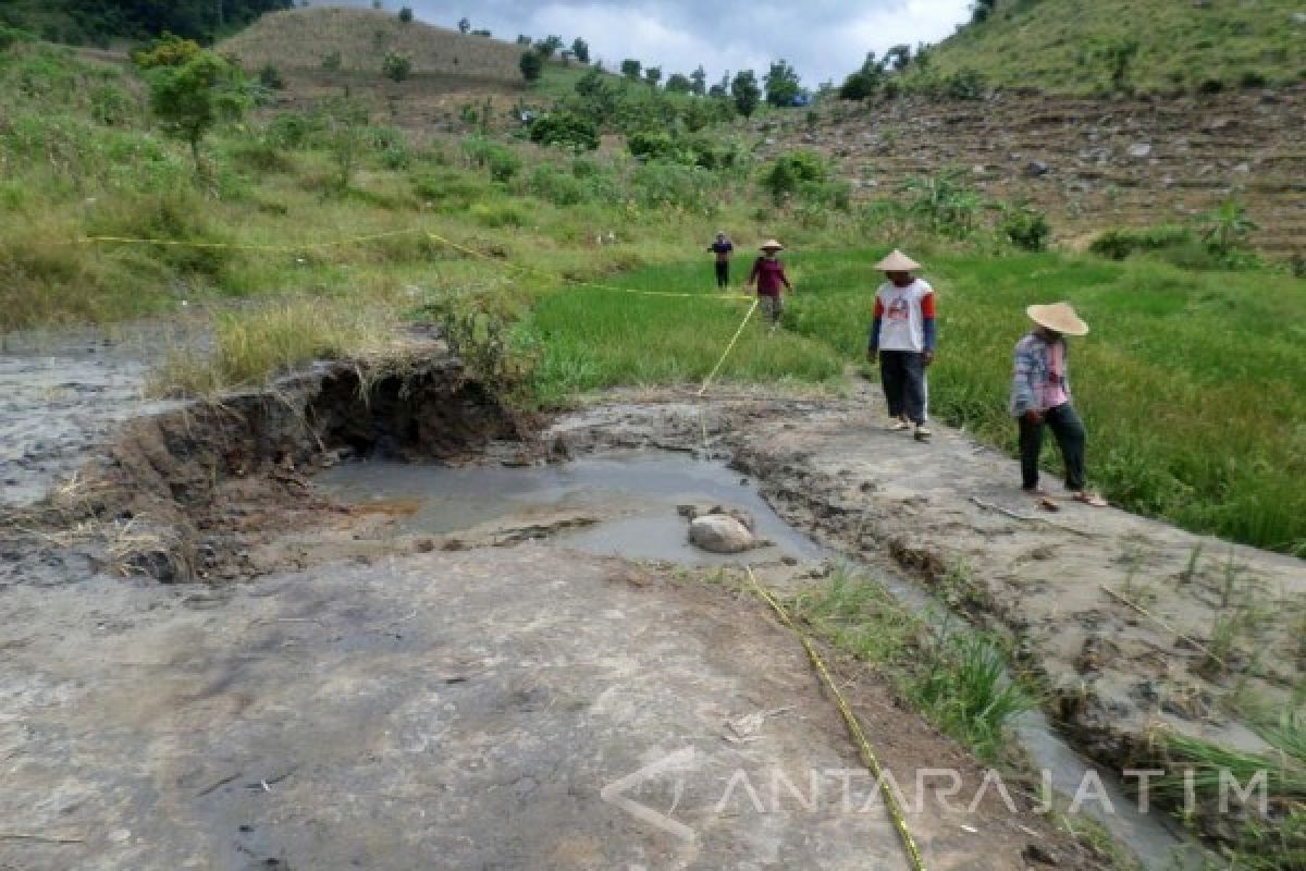 BLH Bojonegoro Desak Dinas Pertanian Kaji Semburan