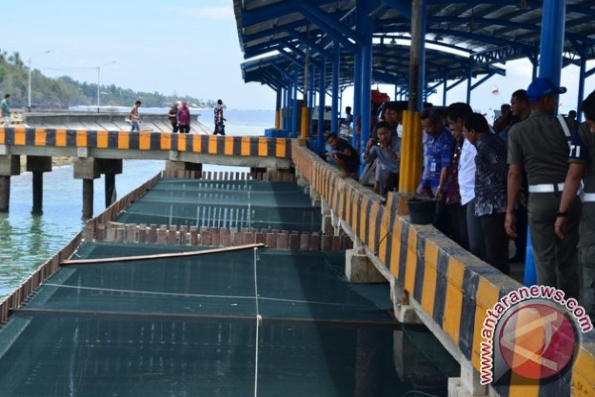 Bandeng budidaya di kolam dermaga PPI Donggala segera dipanen