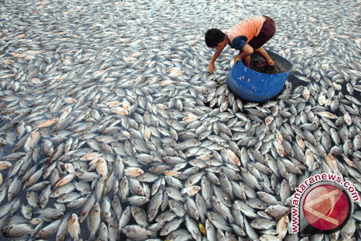 Perwira Babel Kelola Tulang Ikan Menjadi Cemilan