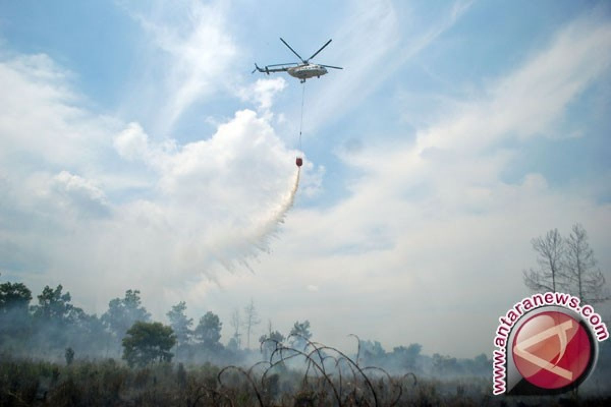 Konjen Amerika Apresiasi Penanganan Karlahut Indonesia