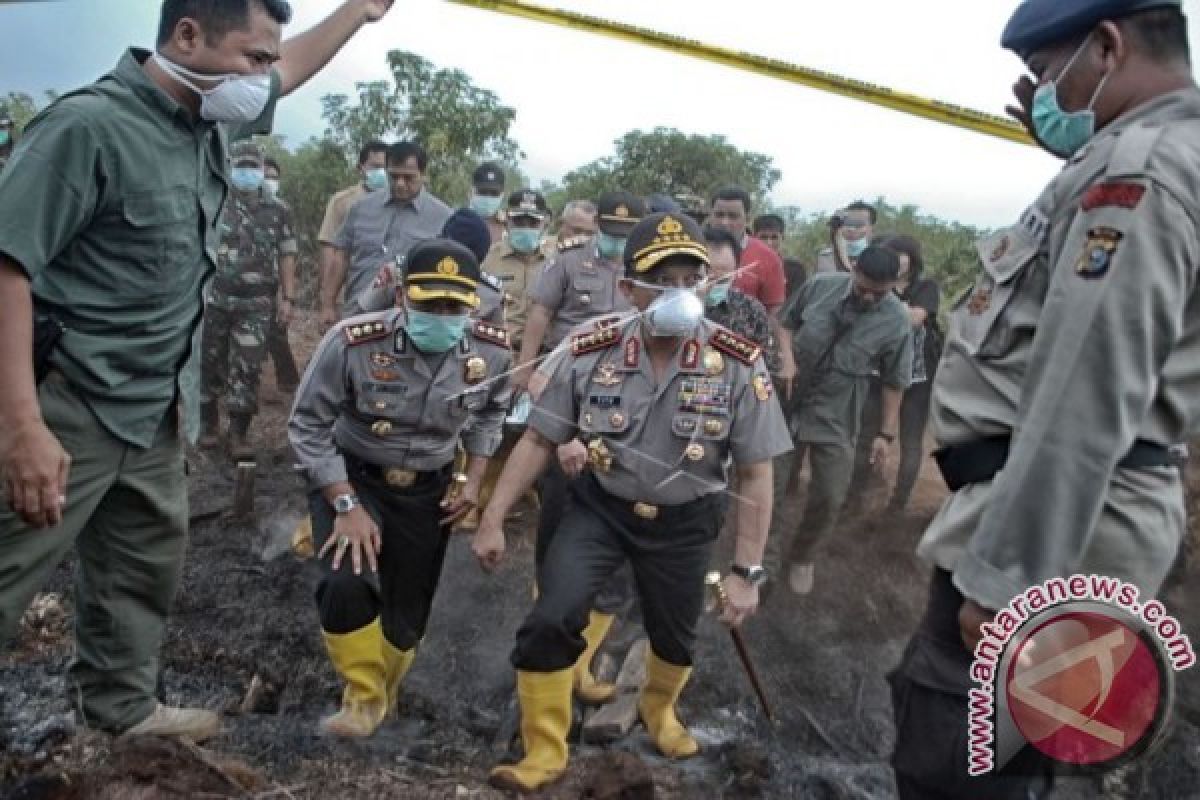 Police Chief Orders Arrest of Forest Fire Perpetrators