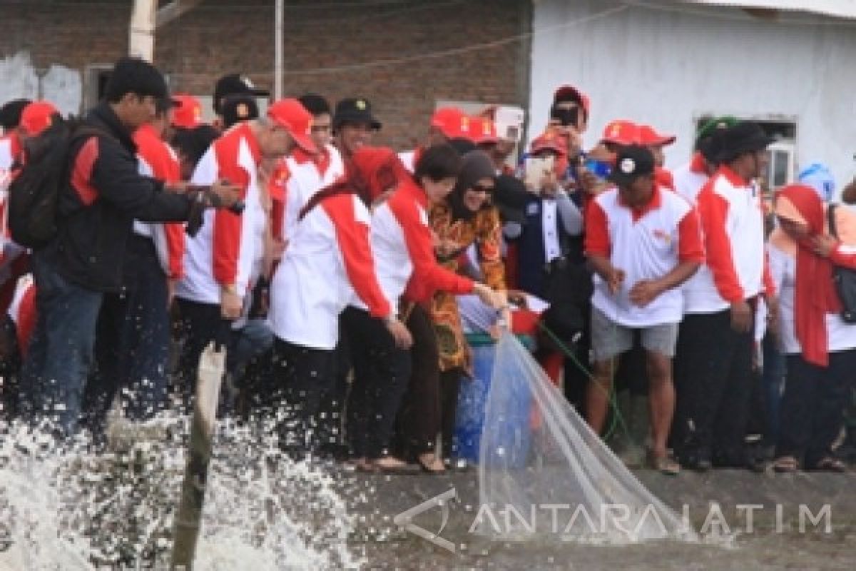 Budi Daya Udang Jadi Primadona di Probolinggo