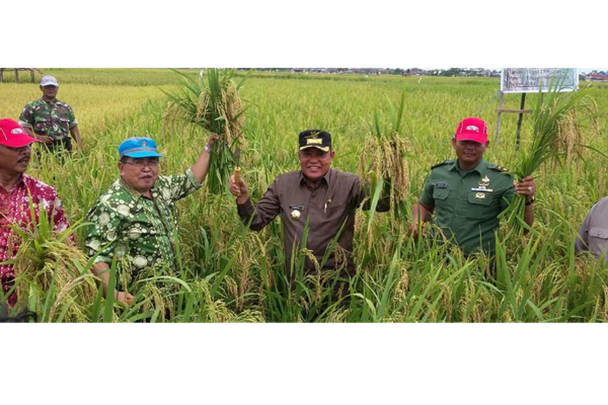 Kubu Raya Berkomitmen Jadi Kabupaten Mandiri Pangan 