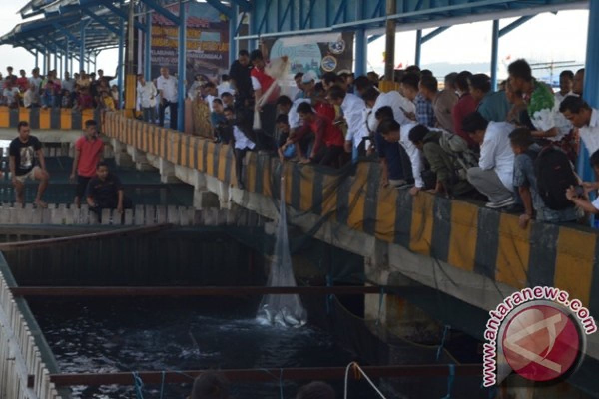 Gubernur Sulteng Panen Bandeng KJT Perairan Laut 