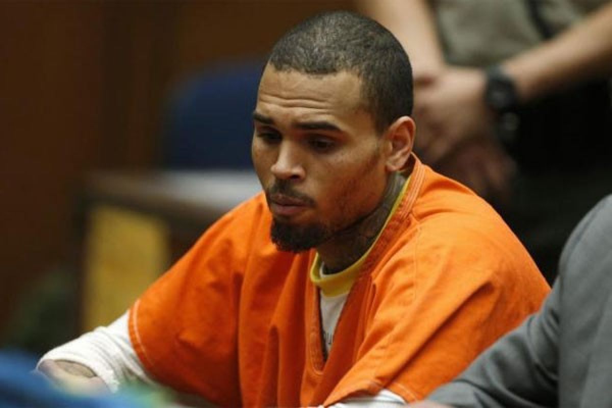 Pelihara monyet tanpa ijin, Chris Brown terancam penjara