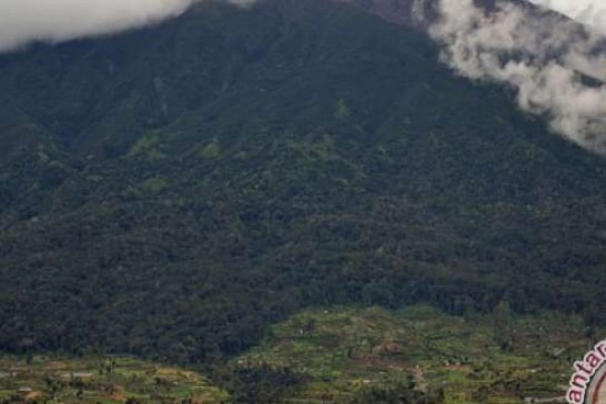 Taman Nasional Zamrud Masih Belum Pasti Kapan Akan Mulai Beroperasi