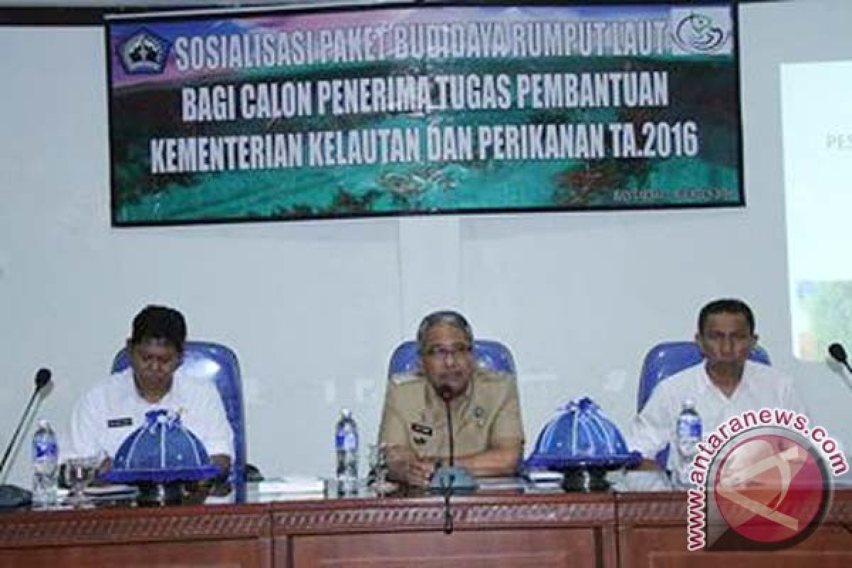 Pemkab Bantaeng sosialisasi paket budidaya rumput laut