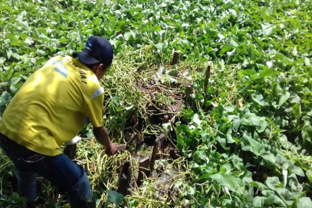 PJT I Temukan Industri Pemanfaatan Air Tanpa SIPA