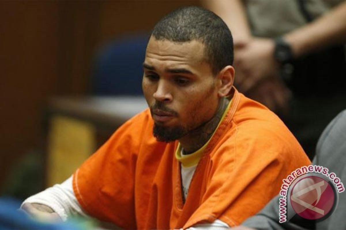 Gara-gara pelihara monyet tanpa ijin, Chris Brown terancam penjara
