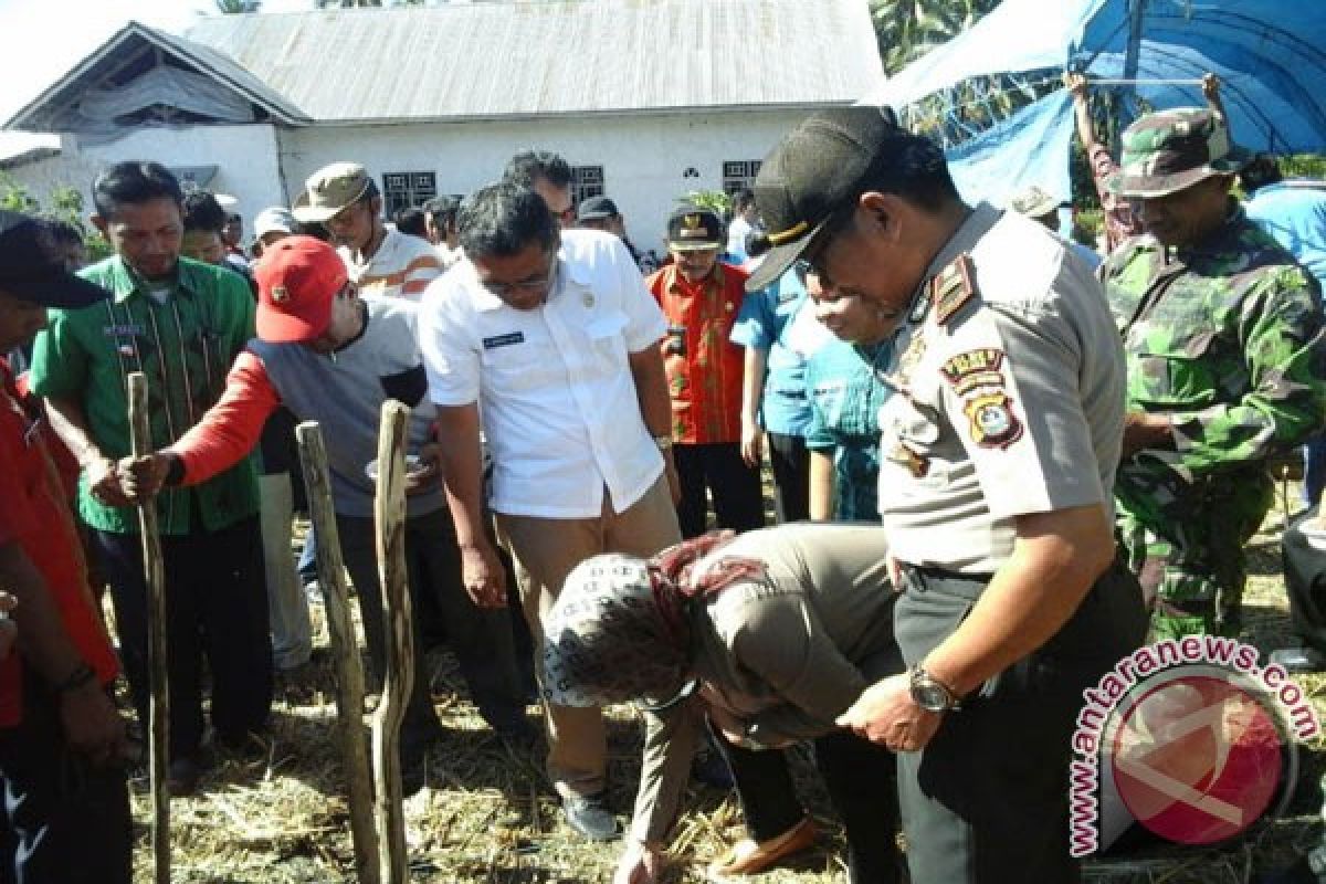 Petani Kolaka Kembangkan Tanaman Kedelai