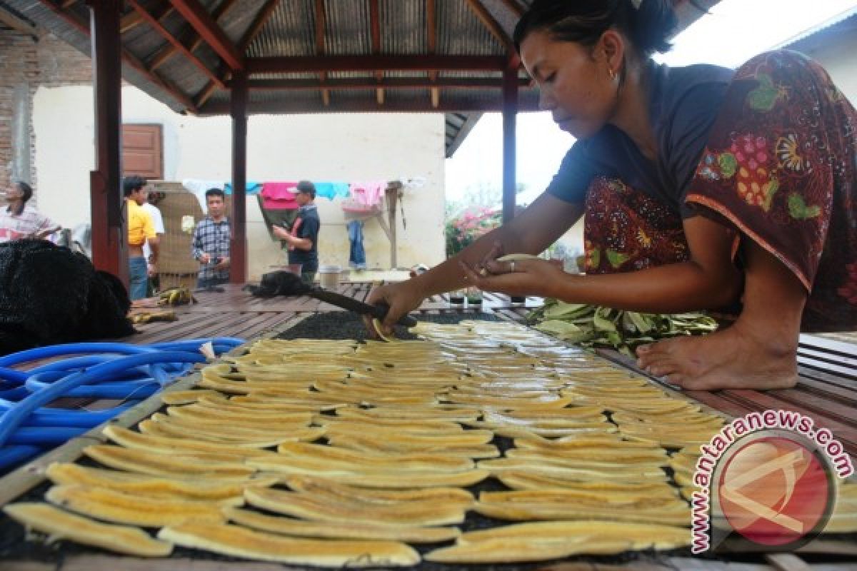 HKm Lombok Utara Perlu Sentuhan Teknologi Pengolahan 