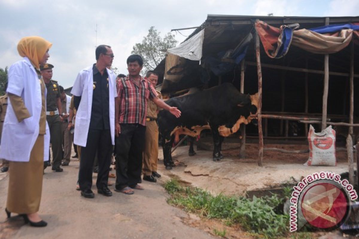 Wali Kota Palembang pantau penjualan hewan kurban