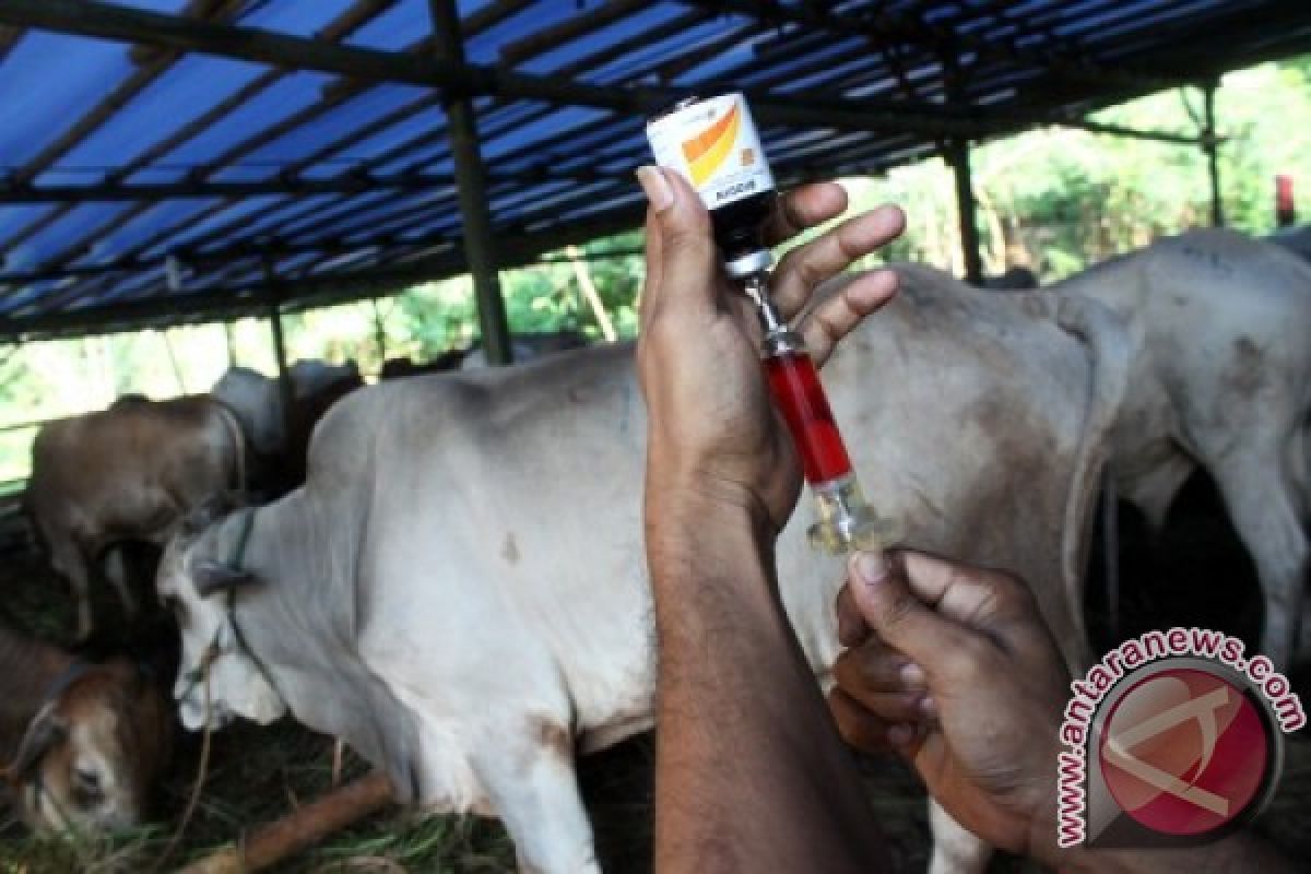 Petugas Pengawas Kurban Bekasi Disebar