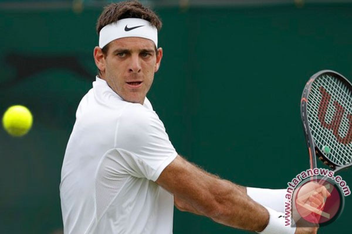 Del Potro kalahkan Isner untuk mencapai semifinal AS Terbuka