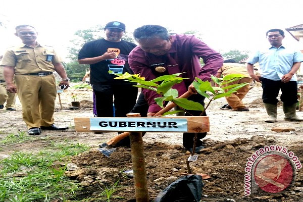 Gubernur Babel Gelar Gerakan Tanam Pohon