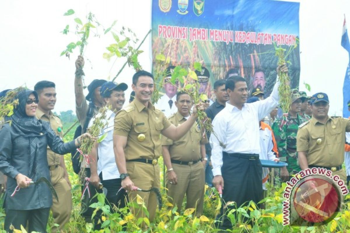 Jambi menuju mandiri pangan 