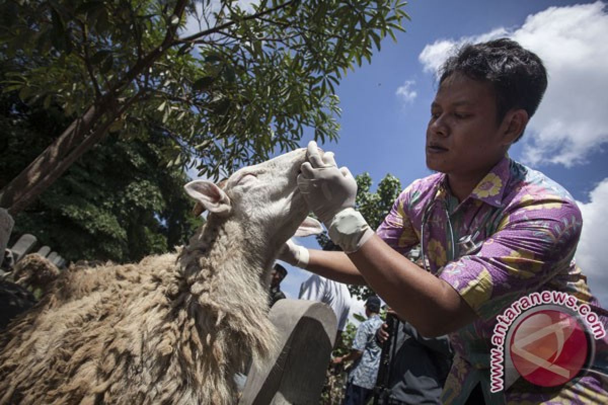 Bantul libatkan UGM periksa hewan kurban