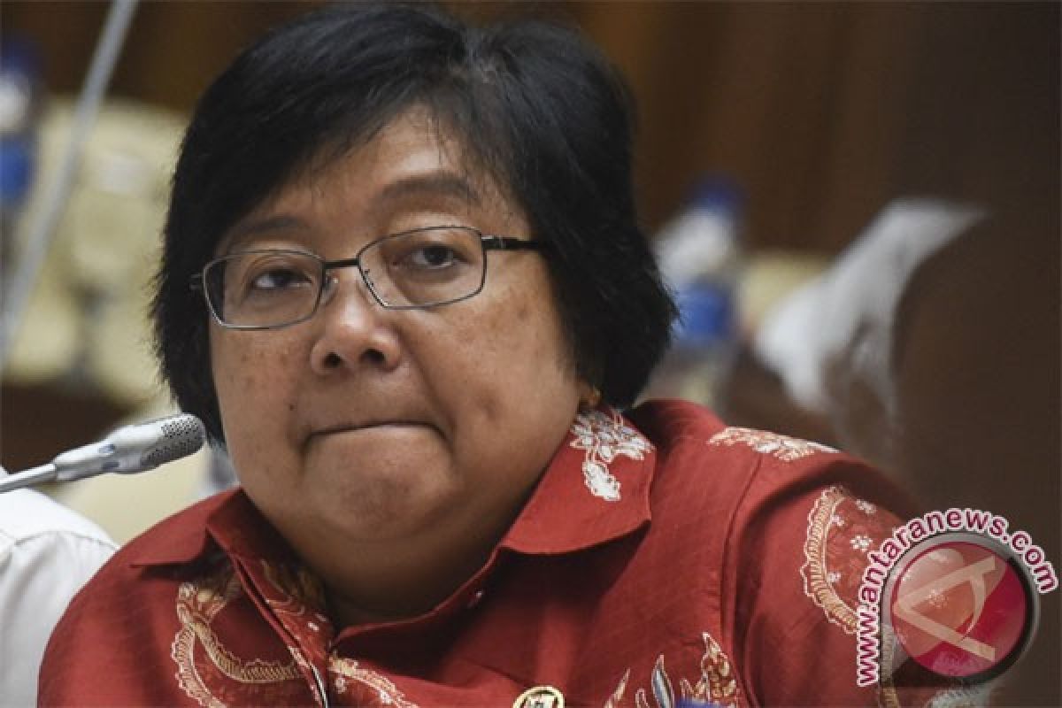 Menteri Siti Nurbaya konfirmasi kebakaran hutan di Seram