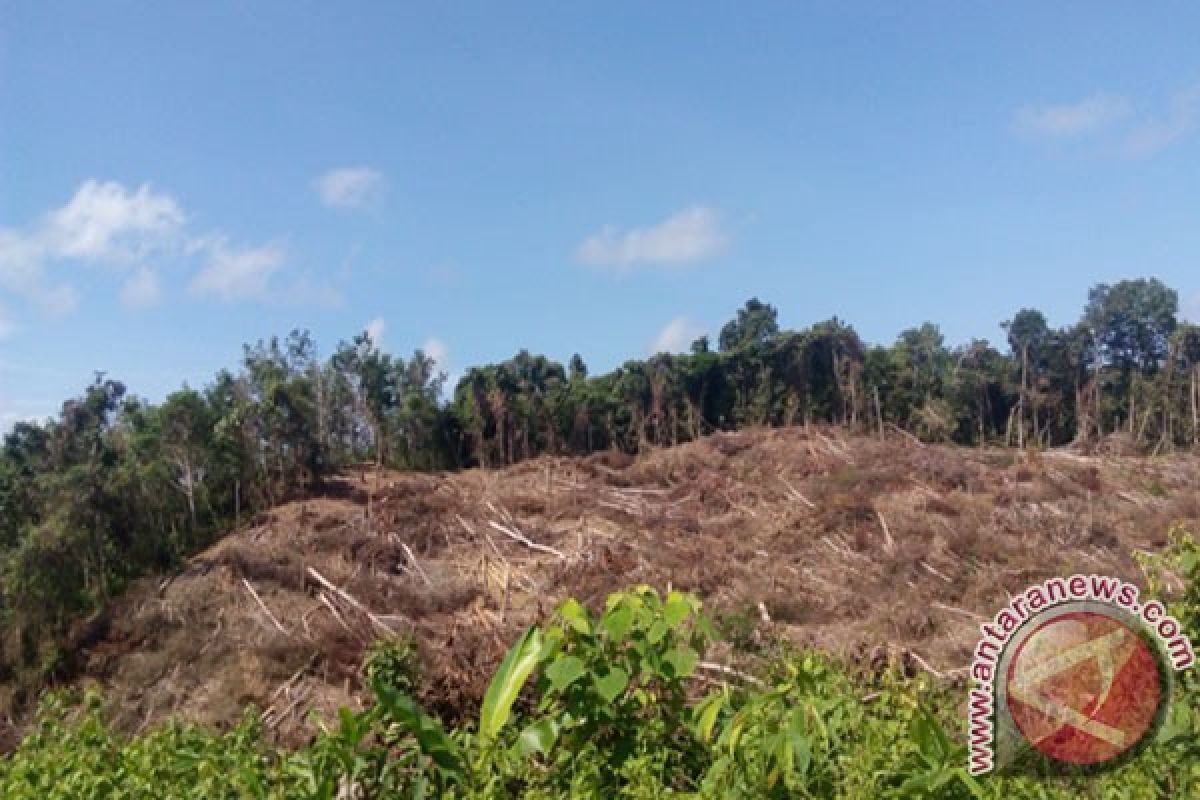 DPRD nilai kondisi hutan di Kotim terus menipis