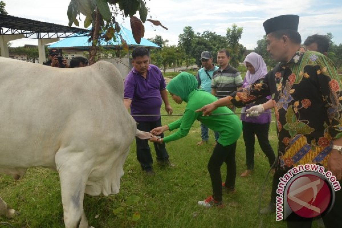 Disnakkeswan Gorontalo Utara Uji Darah Hewan Kurban