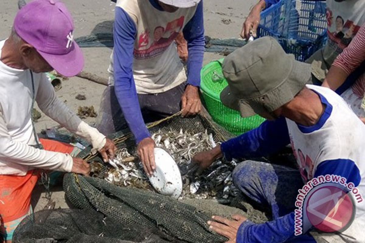 Harga ikan laut melonjak di Bengkulu