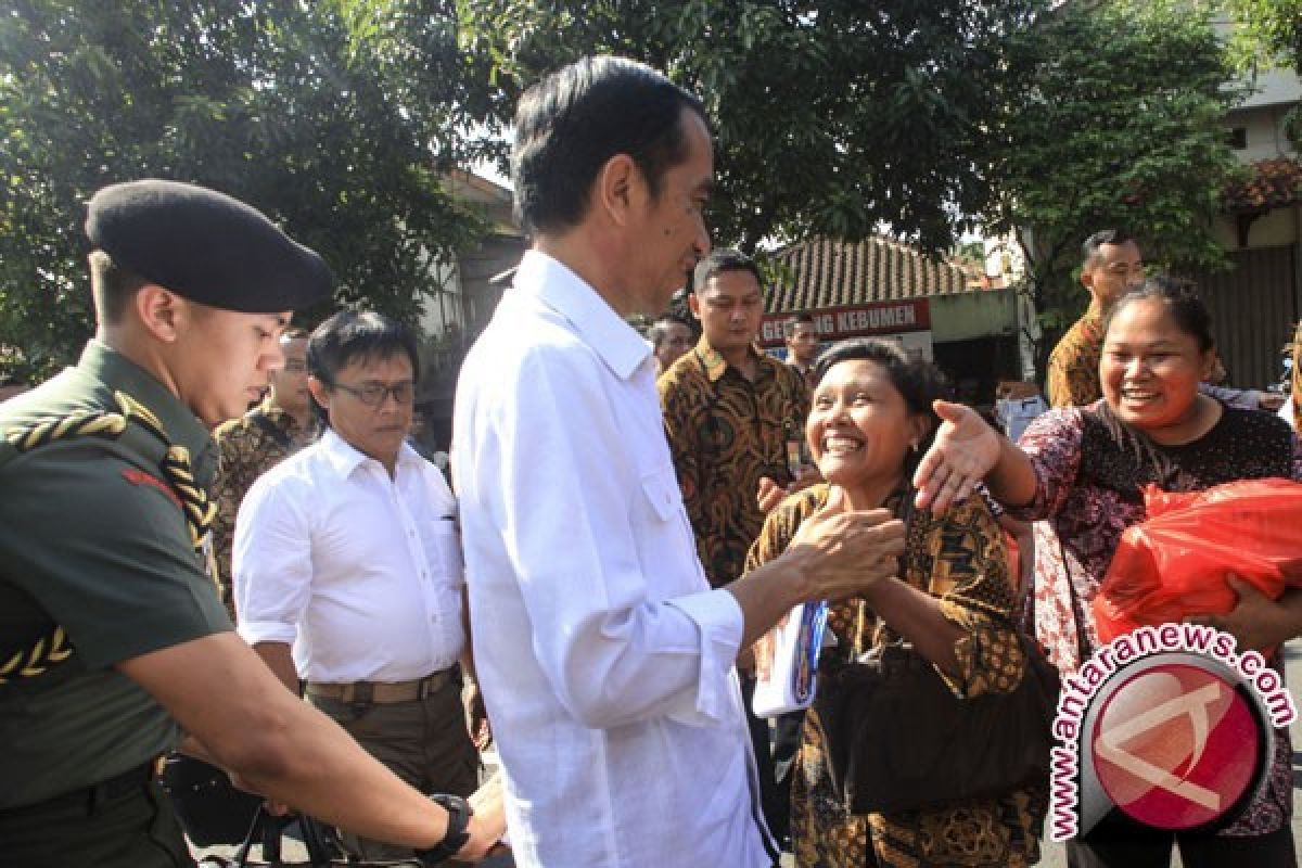  Jokowi minta warga manfaatkan kebun sayur rumahan