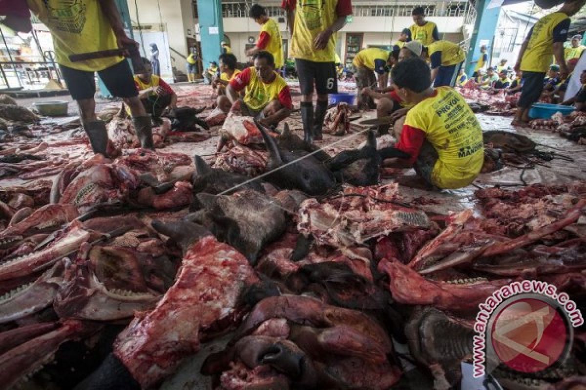 Harga daging ayam dan sapi di Kobar naik