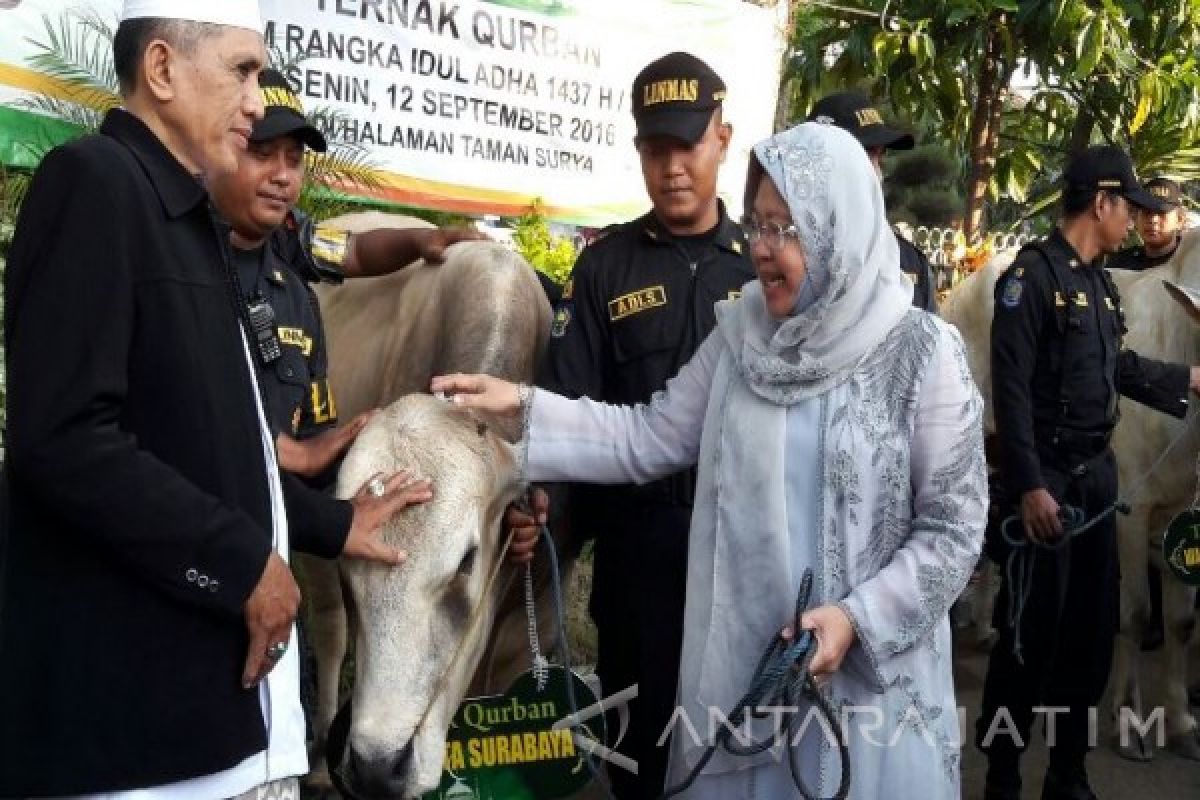 Risma : Idul Adha Momentum Masyarakat Saling Berbagi