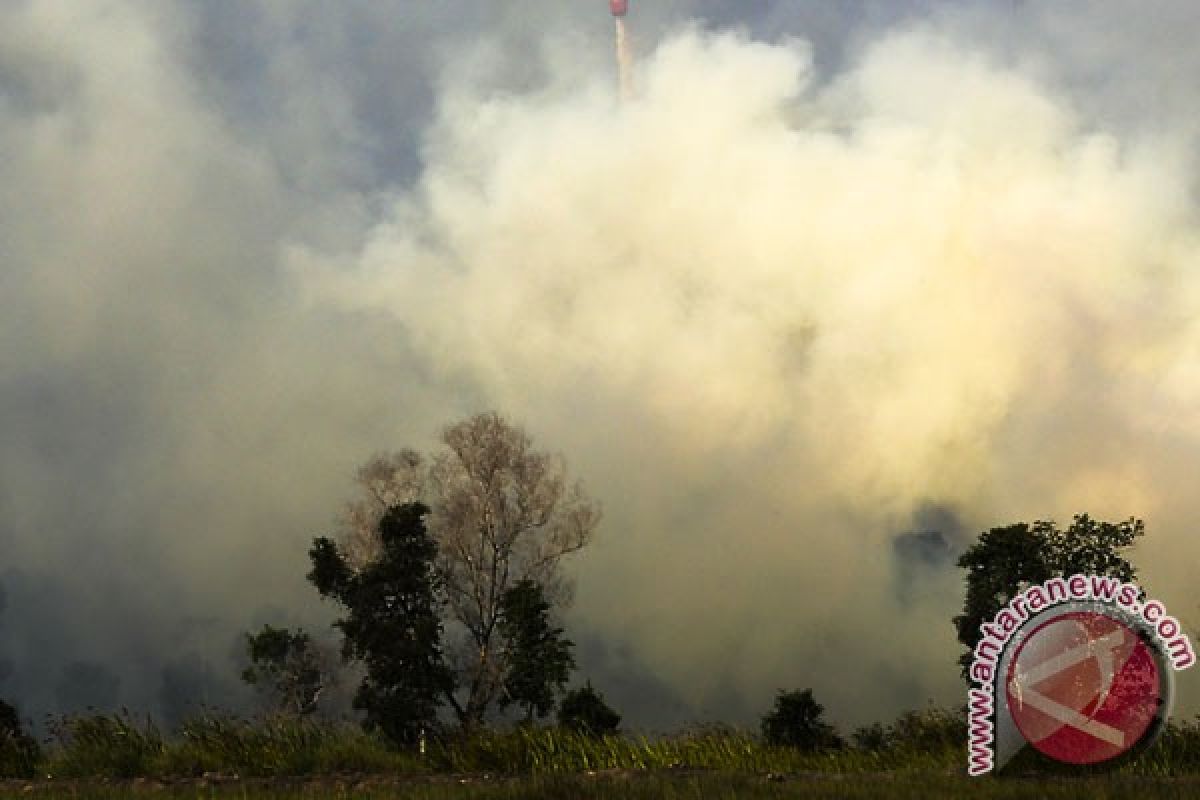 Tujuh titik panas masih terdeteksi di Riau