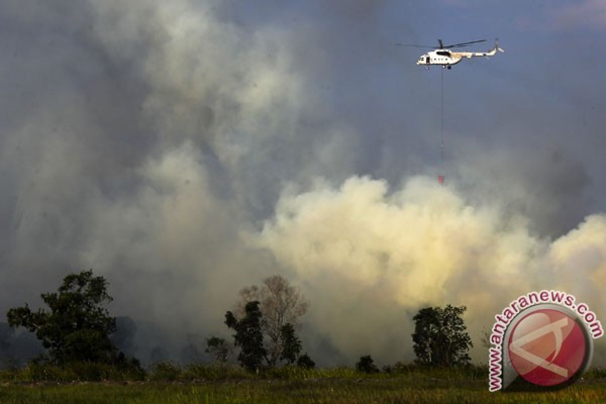 Waktunya antisipasi kebakaran hutan dan lahan