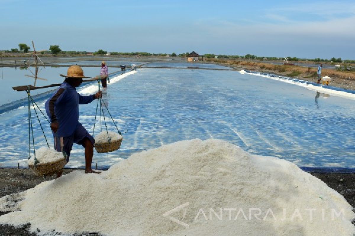 Menperin Airlangga dorong peningkatan kualitas garam petani