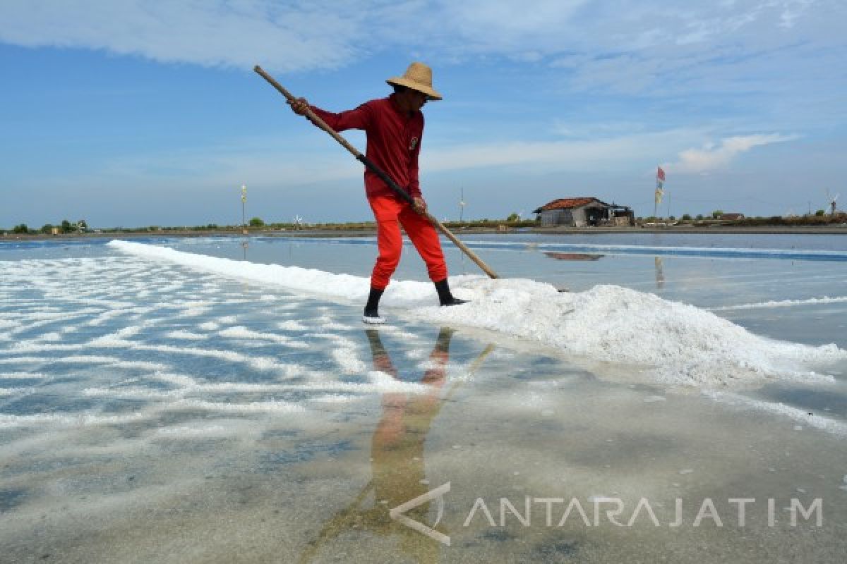 Petambak Garam Sampang Butuh Bantuan Teknologi