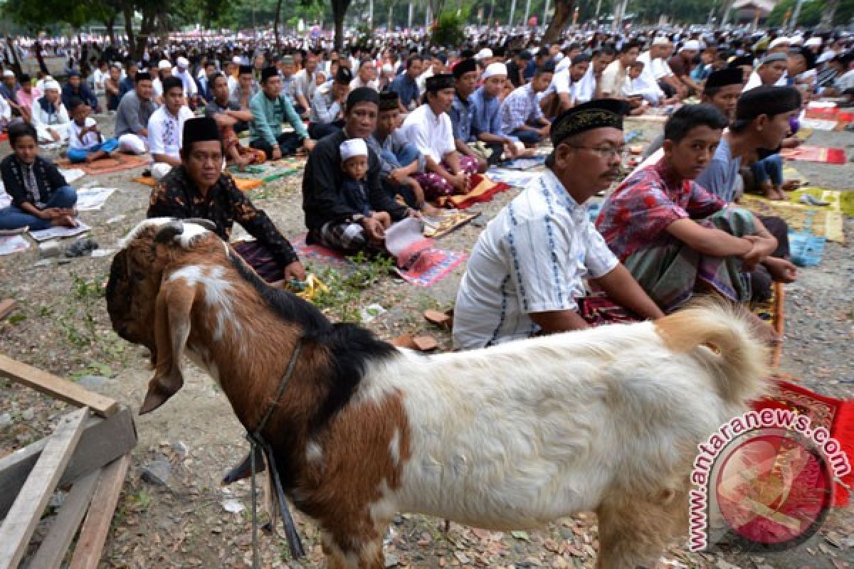 Harapan Kemenag agar jangan terjebak prosesi kurban