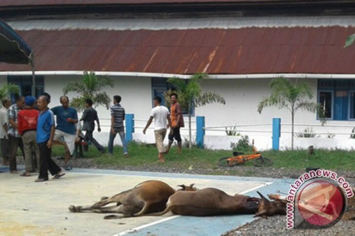 Lapas Banjarmasin Potong Lima Hewan Kurban