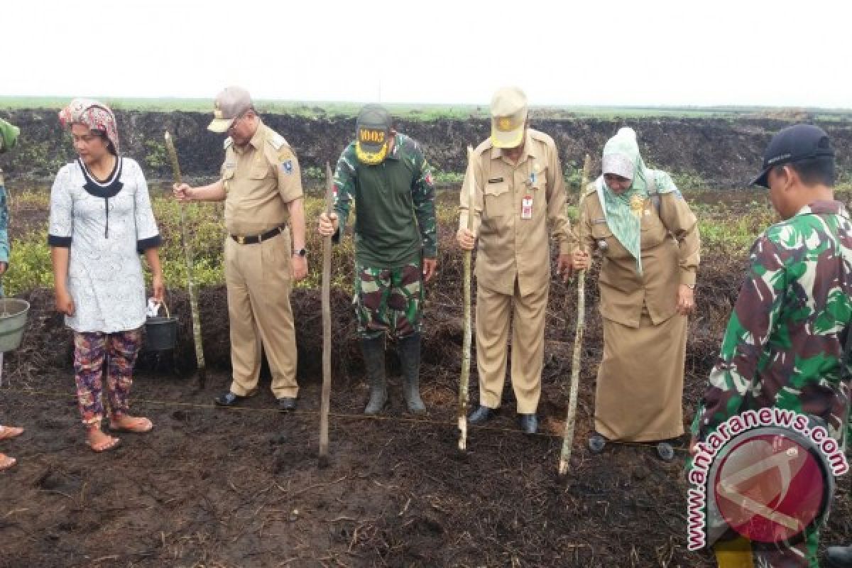 Kodim 1006/Mtp Bantu Cetak Sawah Di Banjar